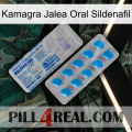 Kamagra Oral Jelly Sildenafil new15